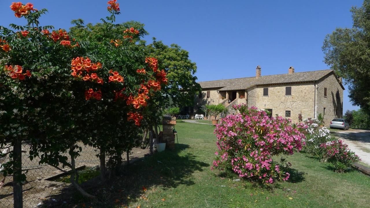 Agriturismo Podere Luchiano Амелиа Экстерьер фото