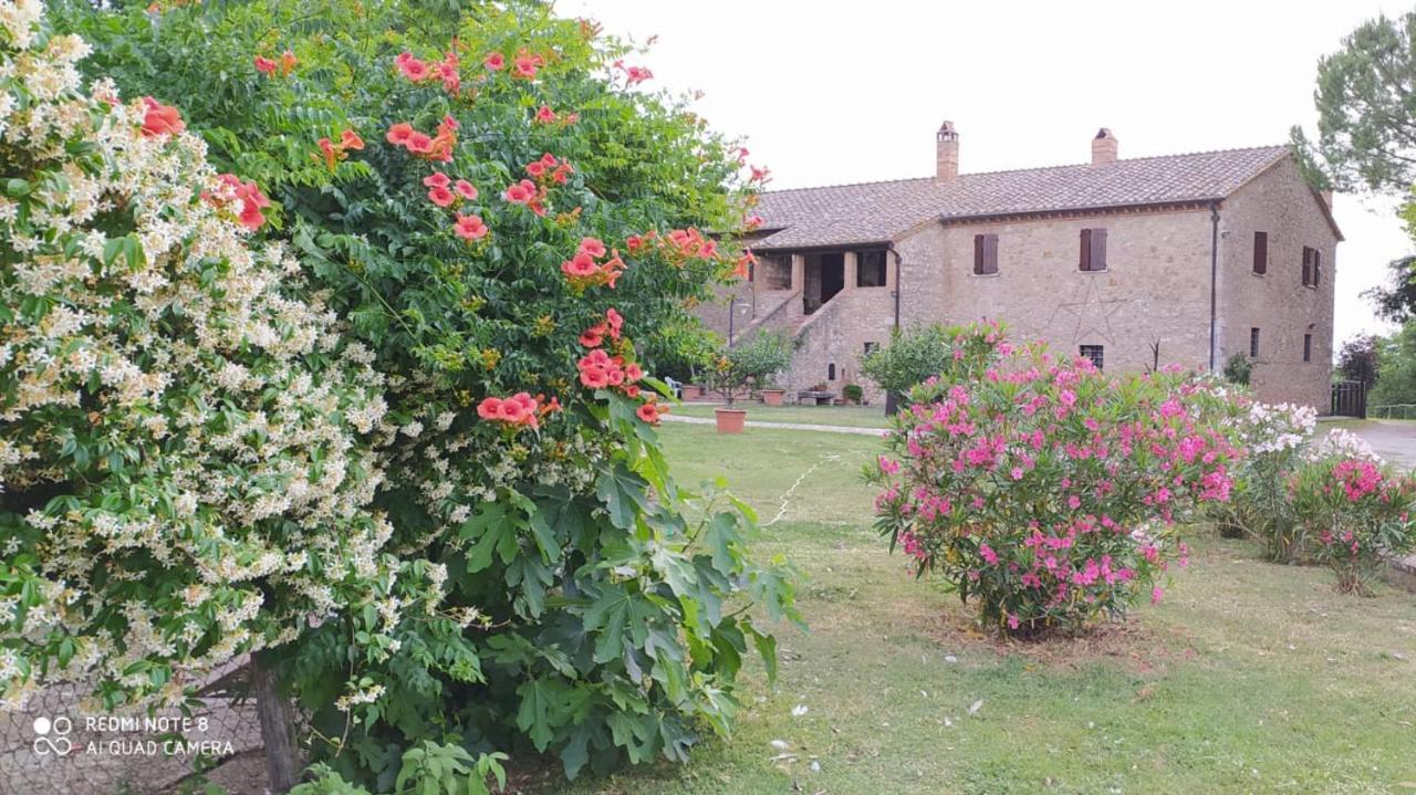 Agriturismo Podere Luchiano Амелиа Экстерьер фото