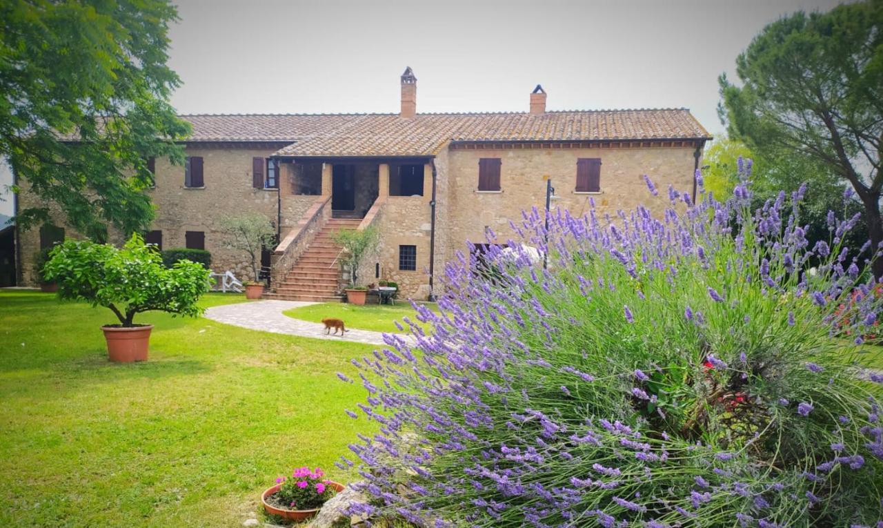 Agriturismo Podere Luchiano Амелиа Экстерьер фото