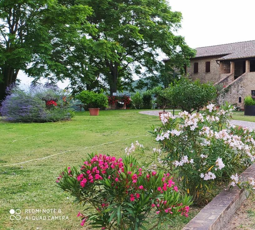 Agriturismo Podere Luchiano Амелиа Экстерьер фото