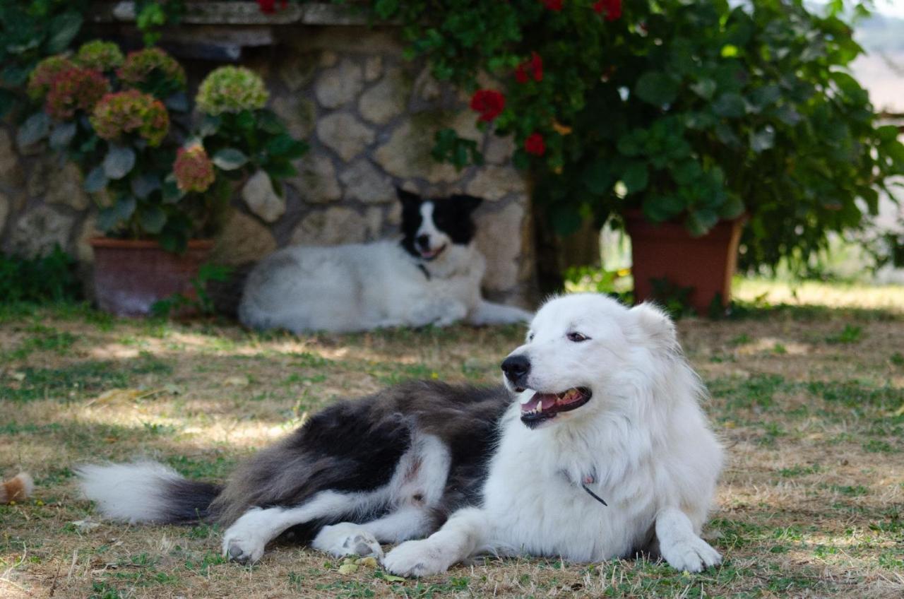 Agriturismo Podere Luchiano Амелиа Экстерьер фото