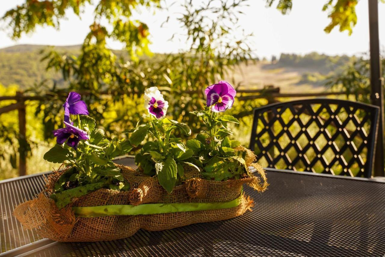 Agriturismo Podere Luchiano Амелиа Экстерьер фото