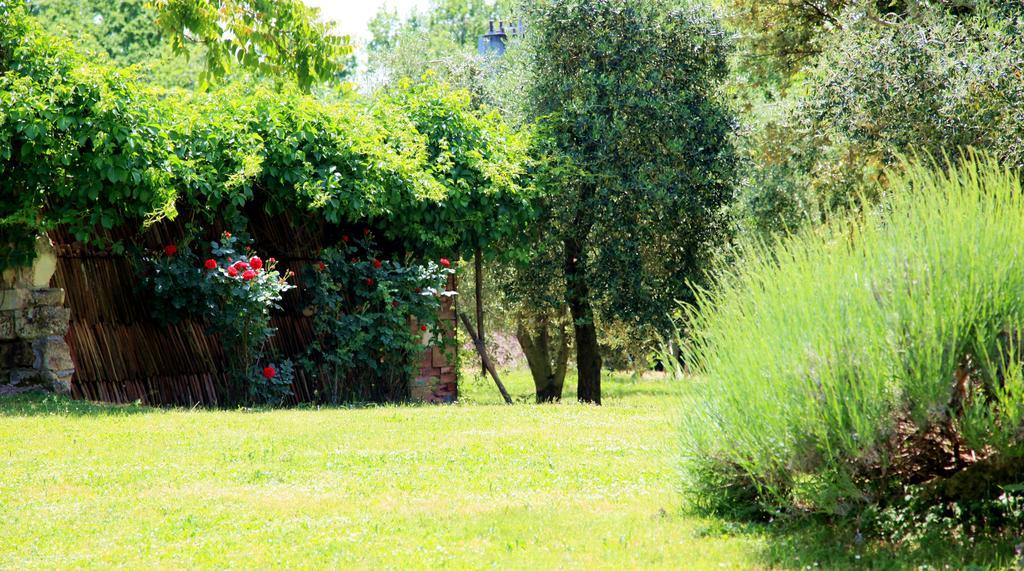 Agriturismo Podere Luchiano Амелиа Экстерьер фото
