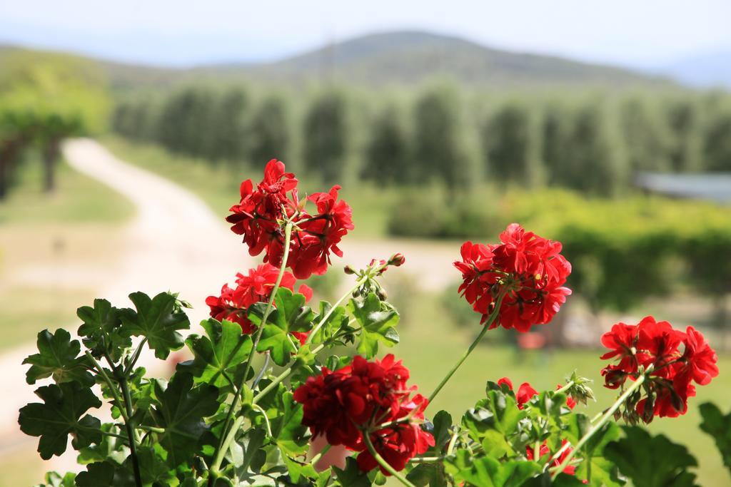 Agriturismo Podere Luchiano Амелиа Экстерьер фото