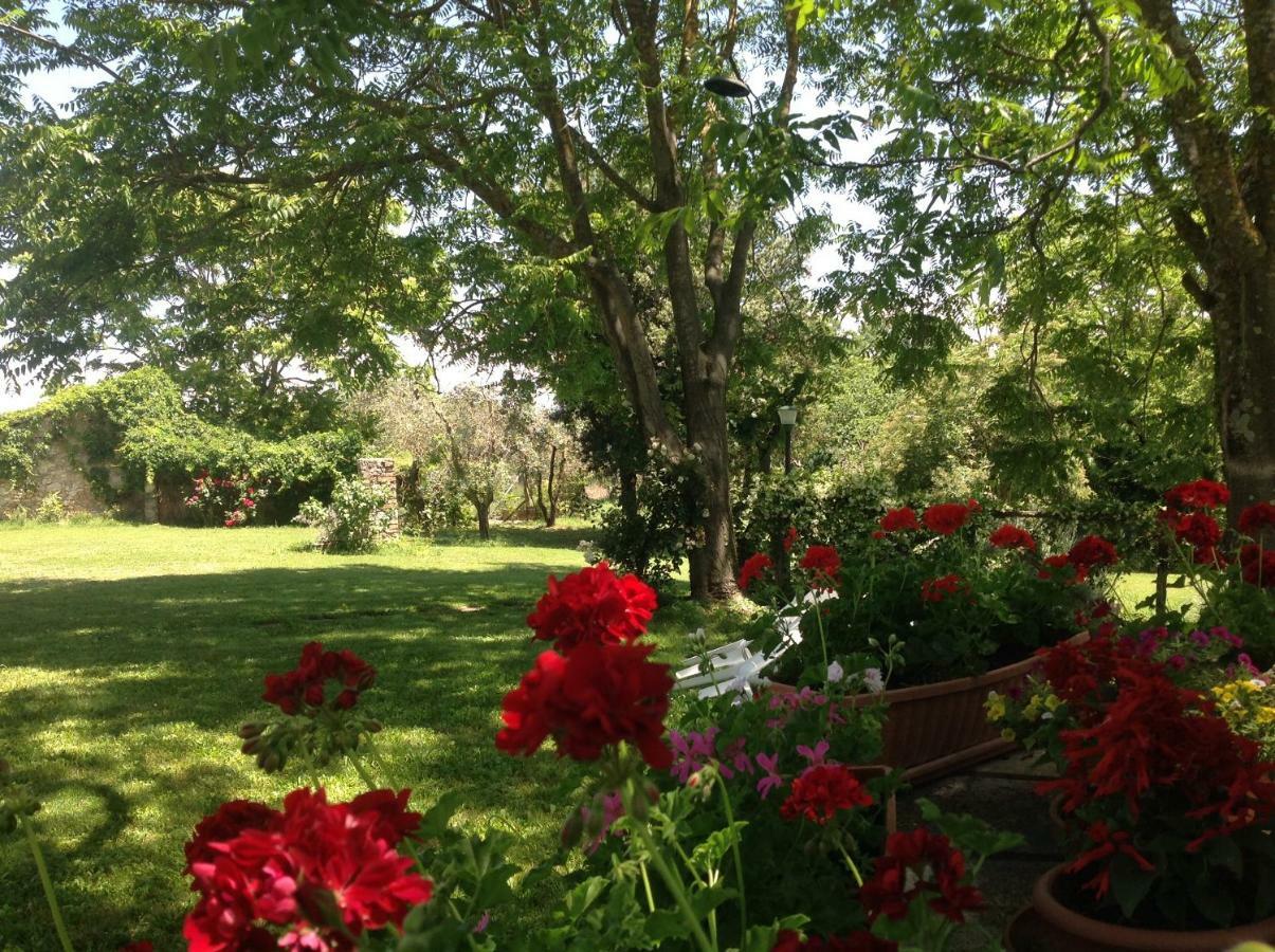 Agriturismo Podere Luchiano Амелиа Экстерьер фото